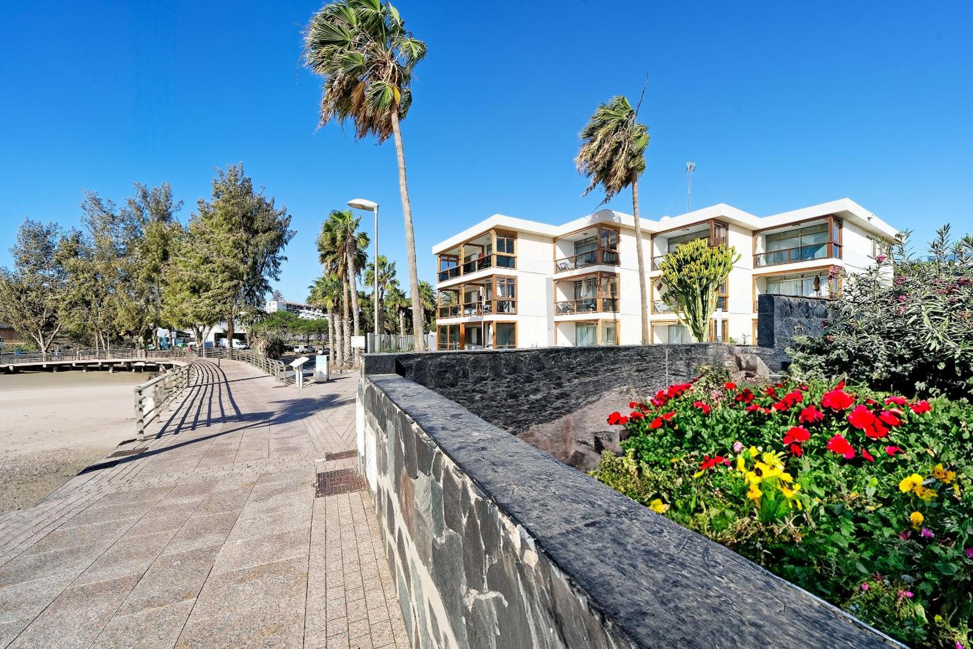 Apartamentos Los Papagayos San Agustín Eksteriør billede